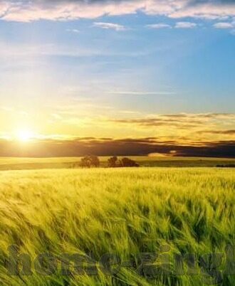 糖心app软件下载iOS-糖心iOS版，精彩尽在指尖的视听盛宴